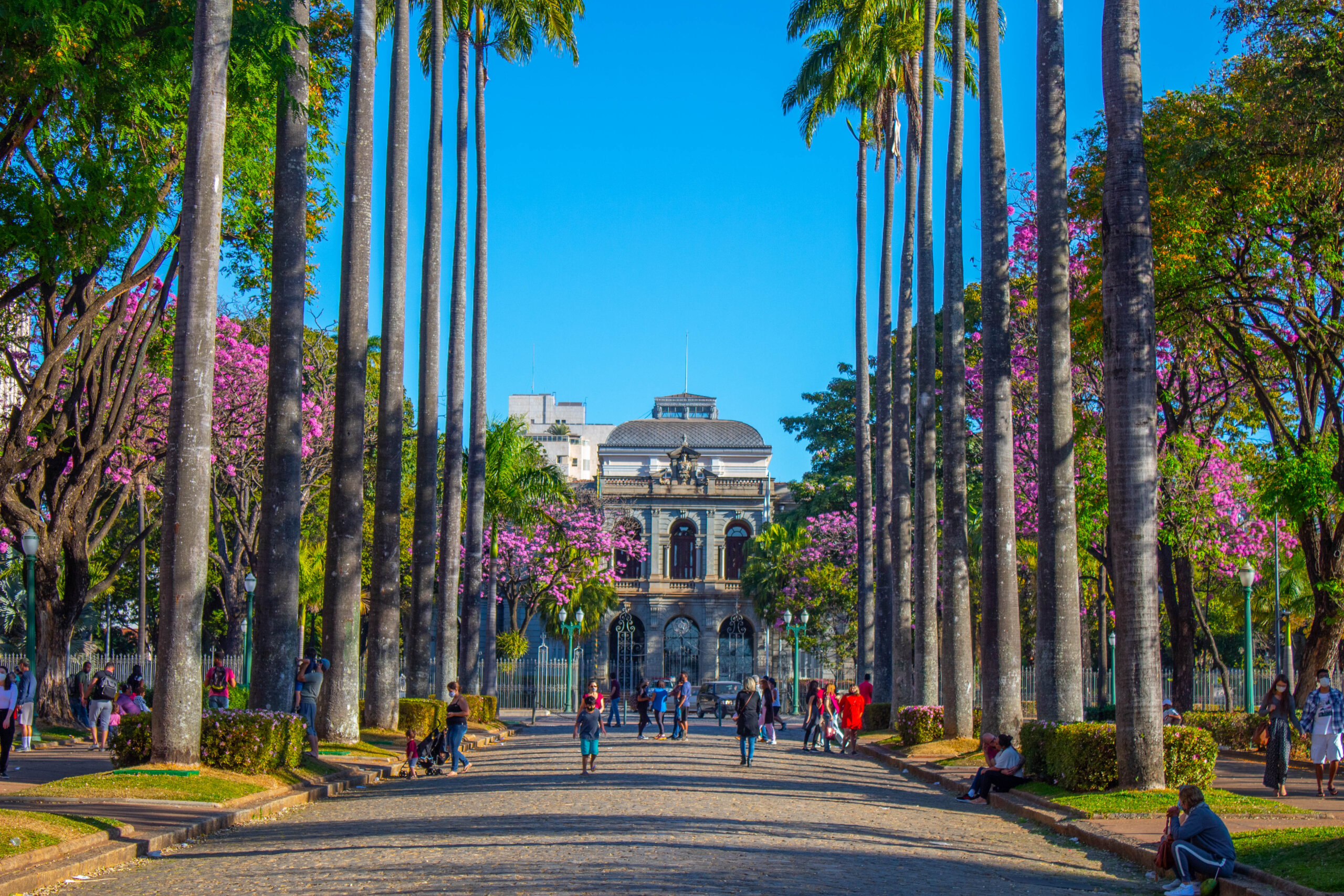 Bar do Museu Clube da Esquina - All You Need to Know BEFORE You Go (with  Photos)